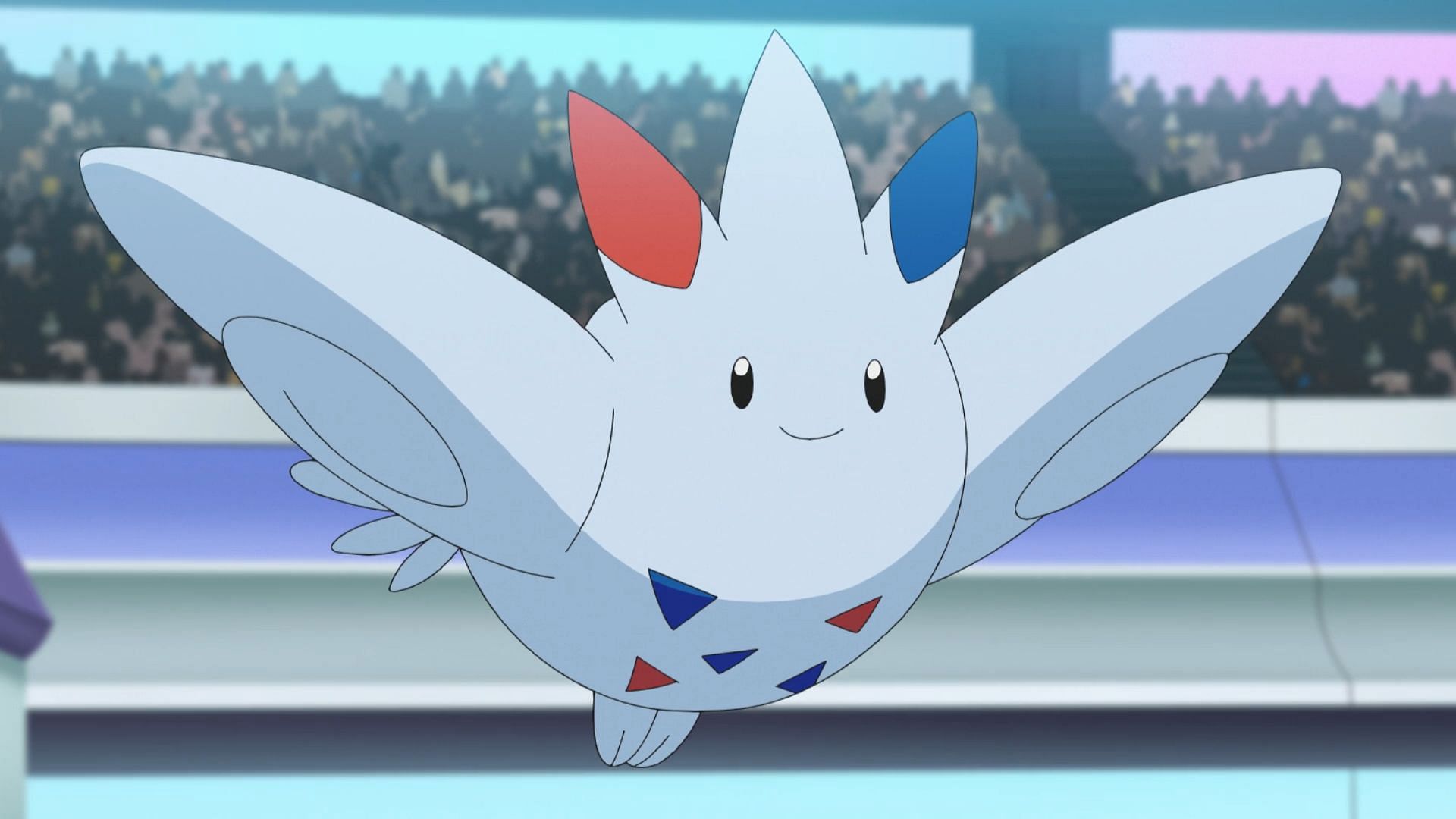 Togekiss in the anime (Image via TPC)